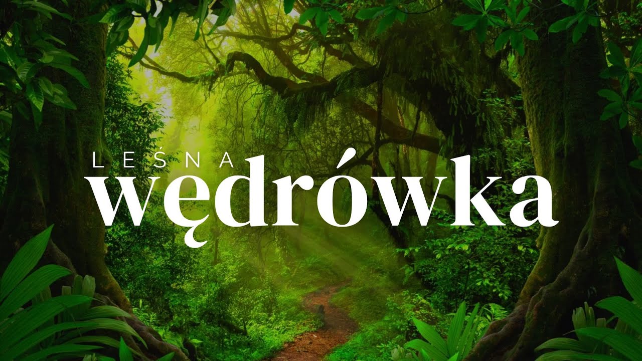 Leśna wędrówka - odcinek 8