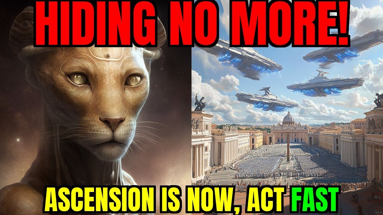 They Can't Hide This Anymore – The 3 Waves of Med Beds! | Mother Gaia