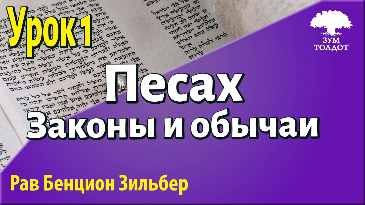 Законы и обычаи Песаха. Урок 1. Китиса. Рав Бенцион Зильбер