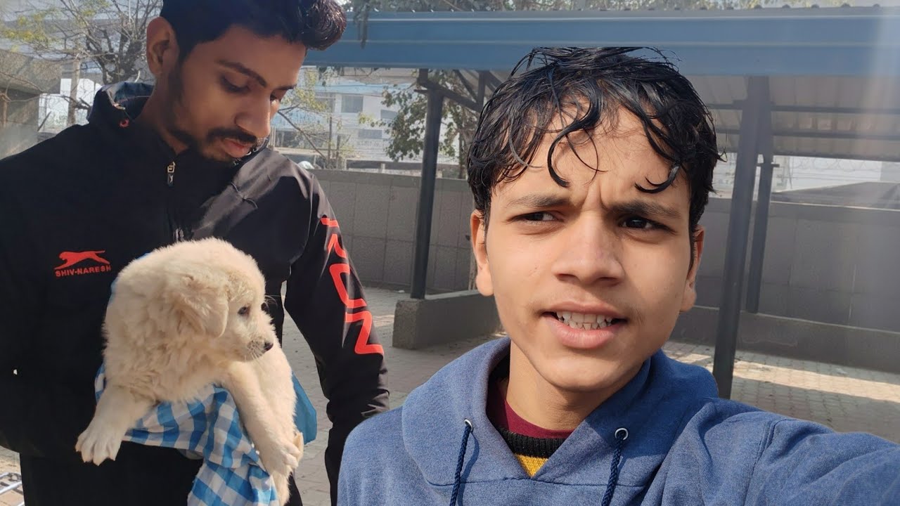  Aaj Hi Mehman Snowy Ko Kya Ho Gaya? 😢🐶
