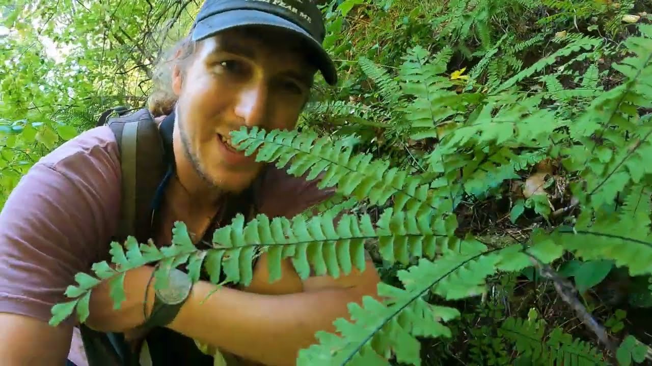 Mushroom Foraging with Mac! Fungi in the Cascades of Oregon