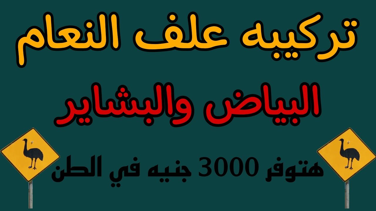 تركيبه علف النعام ل الأسر البياض والبشاير بالنسب والمكونات | سر الصناعه الي هيخليك توفر وتنتج بيض