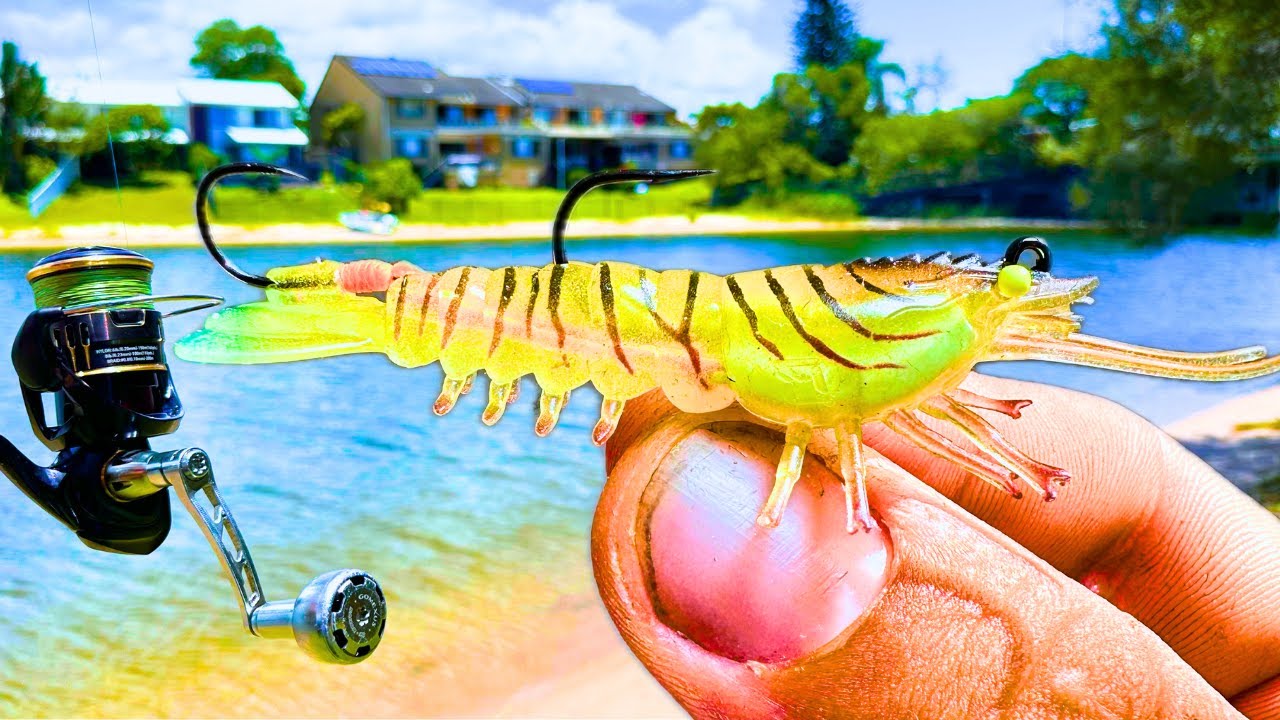 Is This NEW PRAWN DESIGN a GAME CHANGER For Land Based Fishing? | Gold Coast