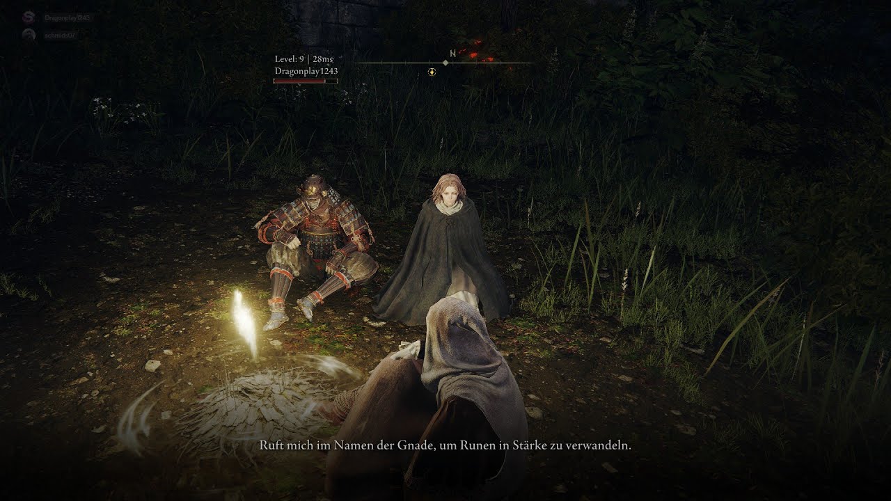 Wird das Spiel so leichter? | Elden Ring Multiplayer Folge 1