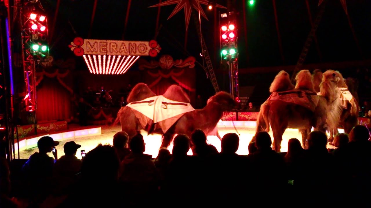 Circus Merano opening Andenes 2013