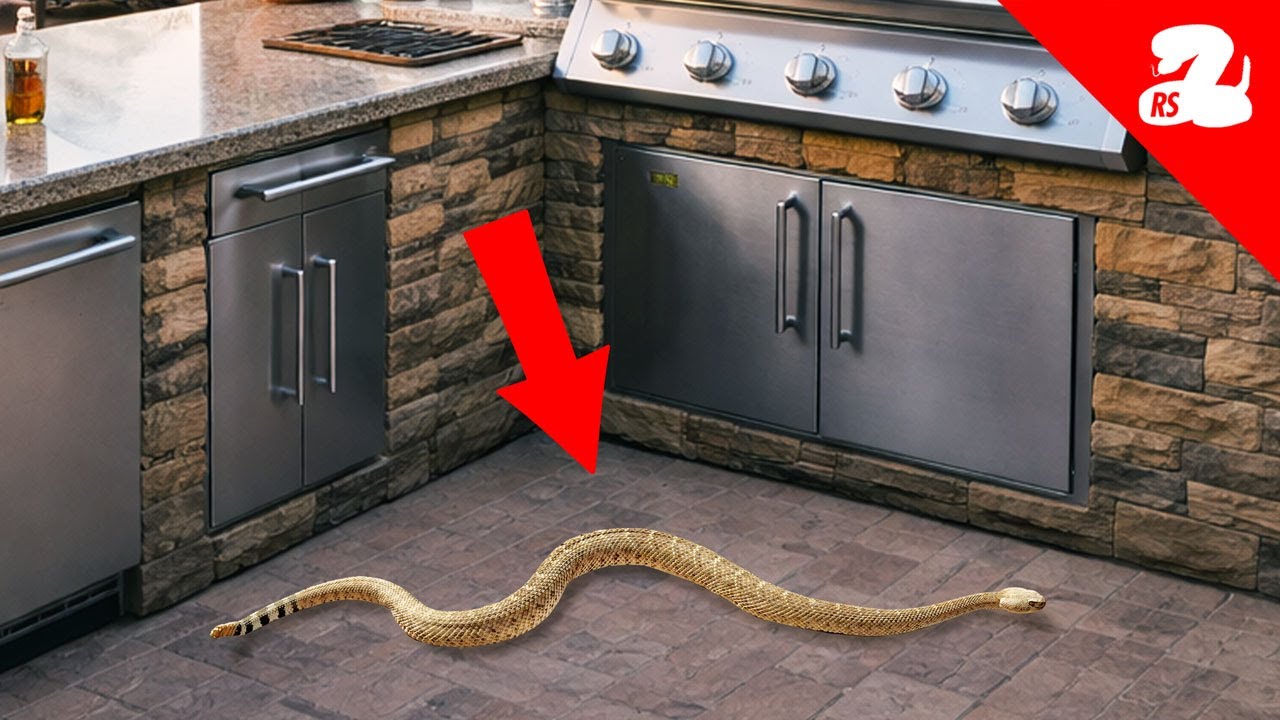 Removing Stubborn Rattlesnake from BBQ Island
