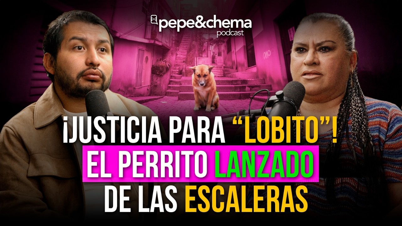 “Los peores casos de MALTRATO ANIMAL que vi” Mundo Patitas | pepe&chema podcast