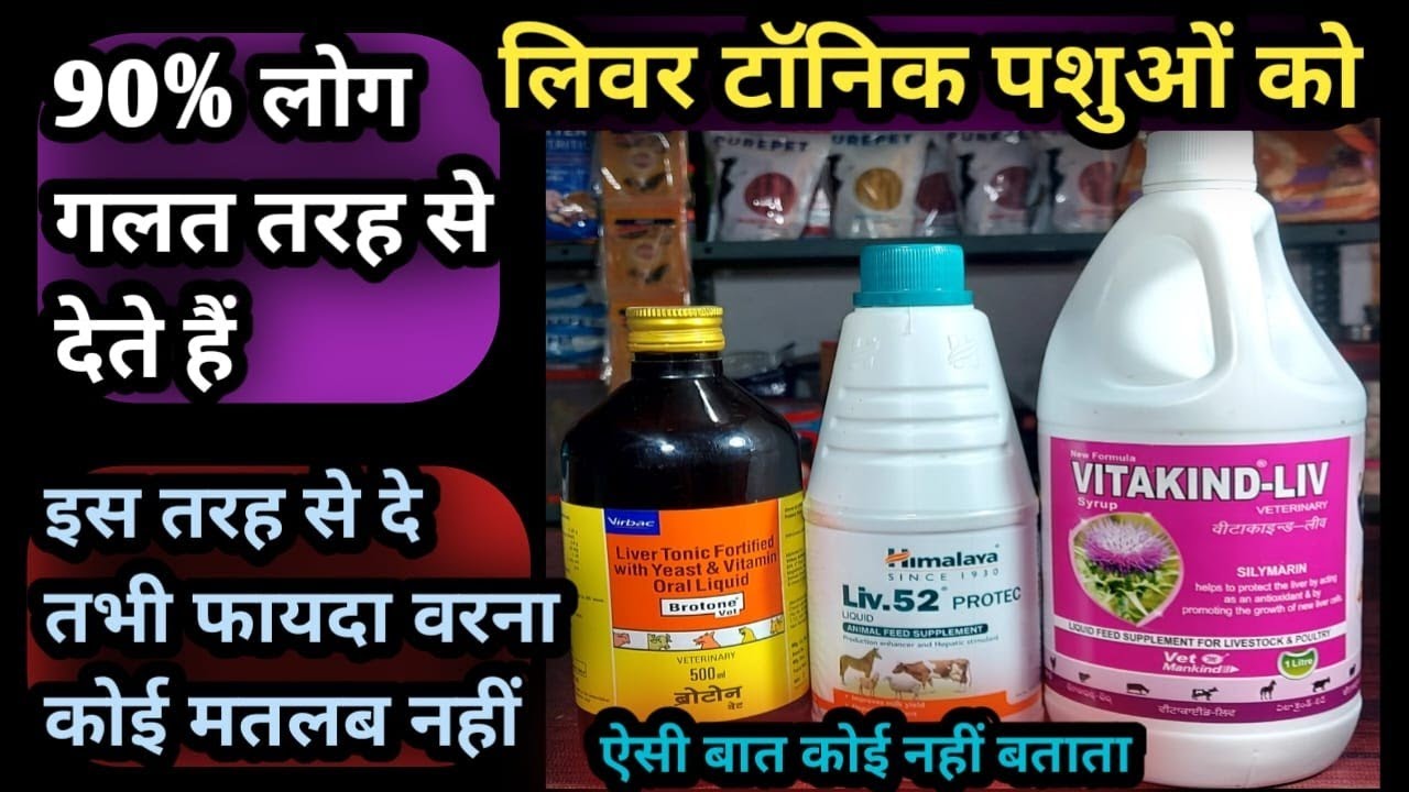 90% लोग गलत तरह से देते हैं लिवर टॉनिक||Brotone-Vet/Liv-52/Vitakind Liv इस तरह से दे तभी फायदा👌