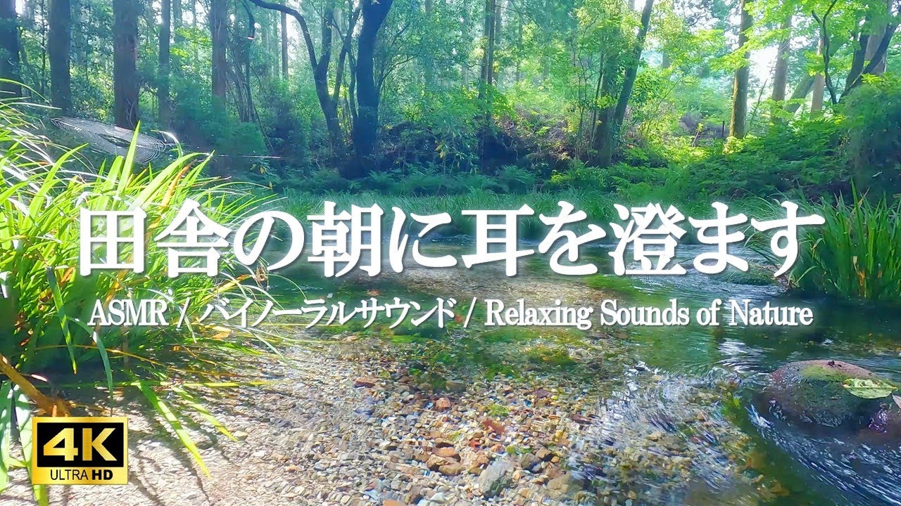 湧水が流れる川のせせらぎと鶯のさえずりで田舎を思い出す|自律神経を整える、癒しの空間づくり【ASMR 4K】