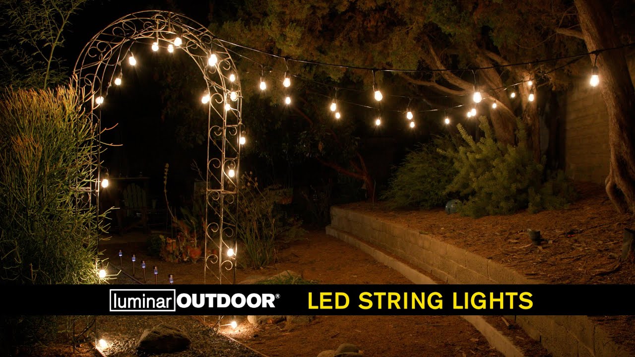 Luminar 24 Ft. 12 Bulb Outdoor LED String Lights | Harbor Freight