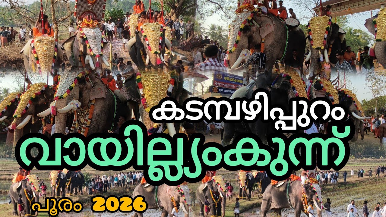 കടമ്പഴിപ്പുറം വായില്യം കുന്ന് പൂരം 2026 18-ല്‍ വരം ഗജവീരന്മാർ തെക്ക് വടക്ക് കിഴക്ക് പടിഞ്ഞാറ് ദേശം 