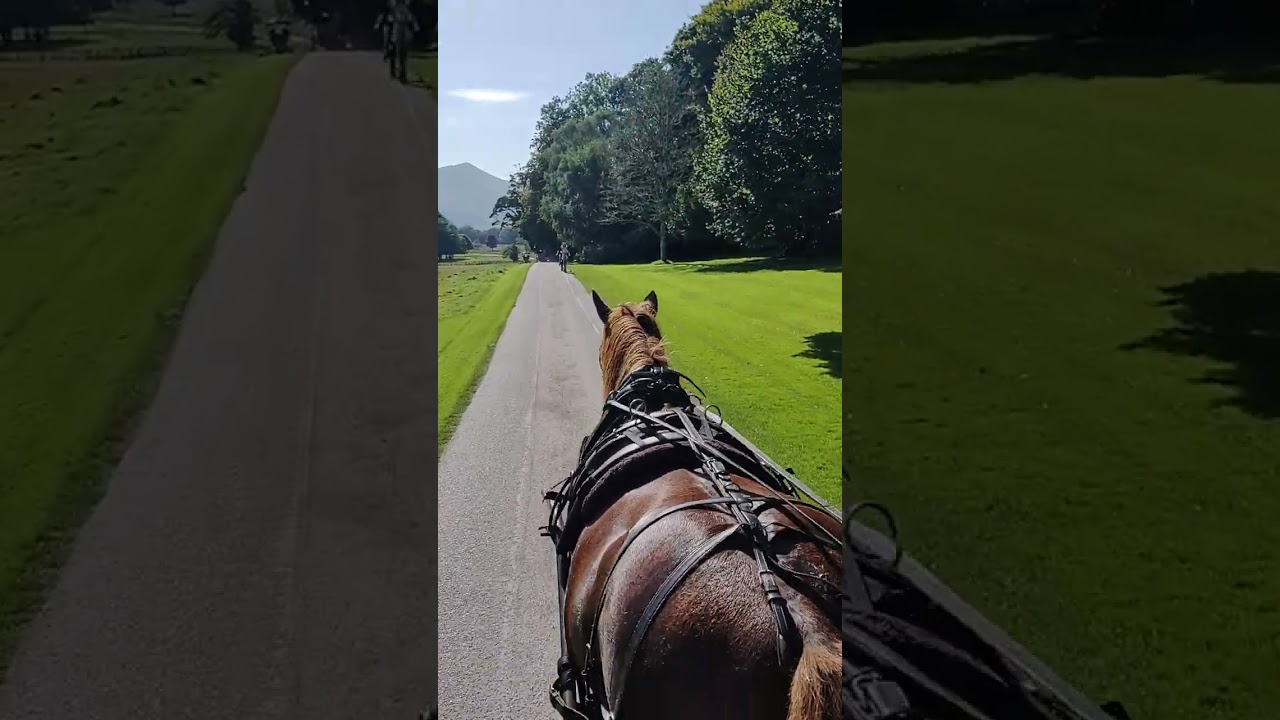 Jaunting car ride in Killarney Ireland