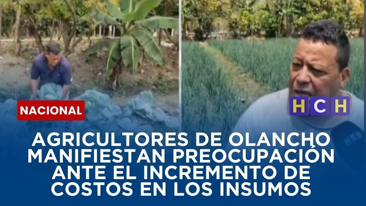 Agricultores de Olancho se manifiestan preocupados ante el incremento de costos en los insumos