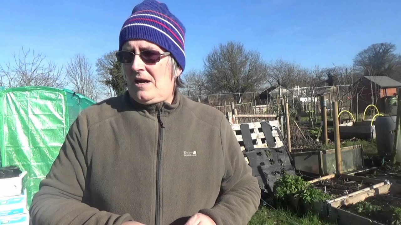 Julie's Allotment - Cutting Globe on Apple Tree (Part 1) - 11th Feb 2016
