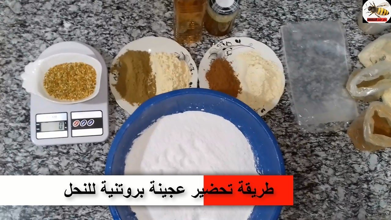 العجينة البروتنية للنحل/طريقة التحضير