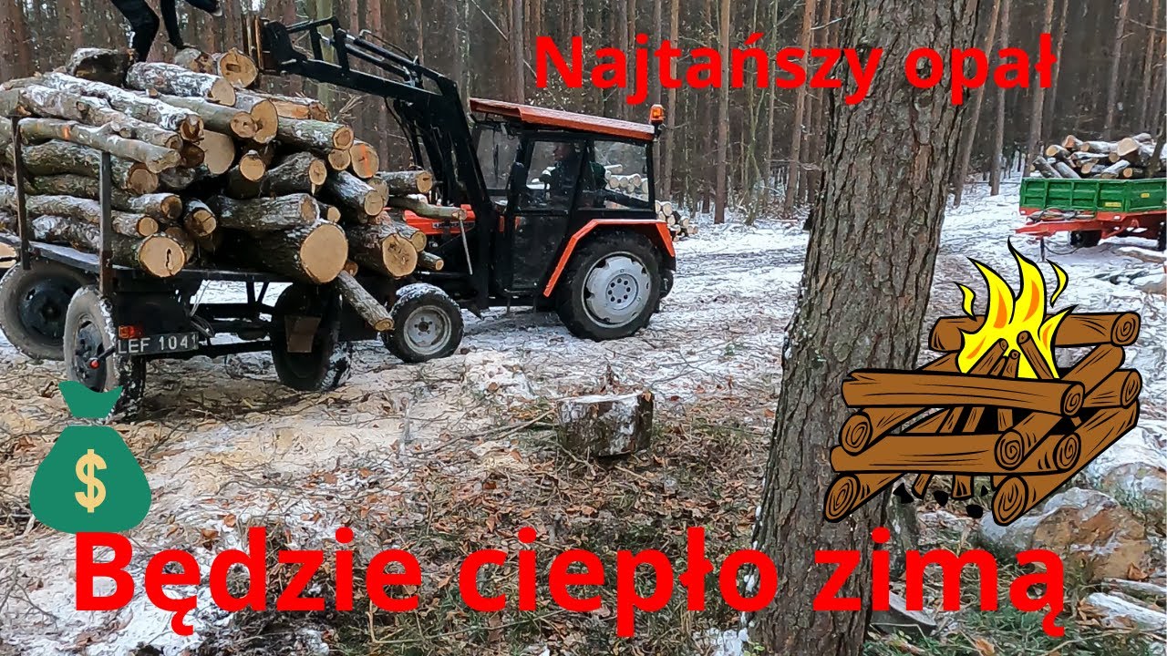 Jak najtaniej kupić drewno opałowe ?? How to buy firewood for the fireplace at the cheapest price???