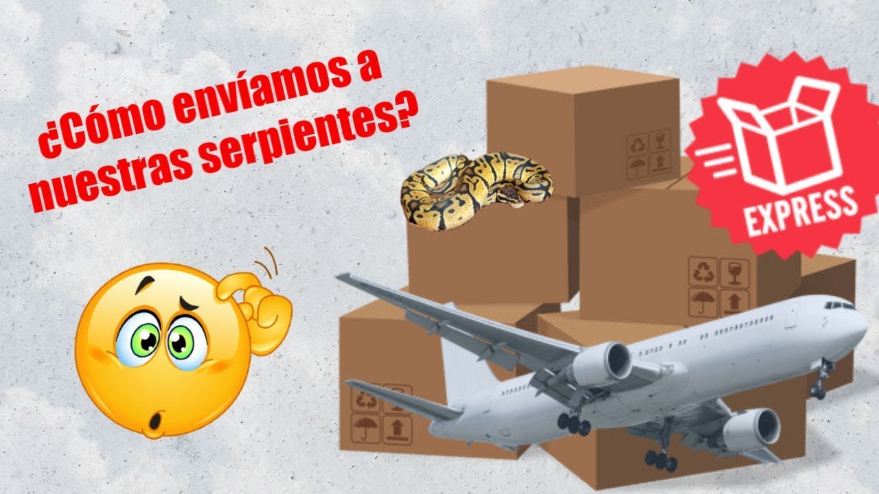 ¿CÓMO SE ENVÍAN LOS REPTILES? ¿Se pueden enviar reptiles por paquetería? | REPTILE ADDICTION
