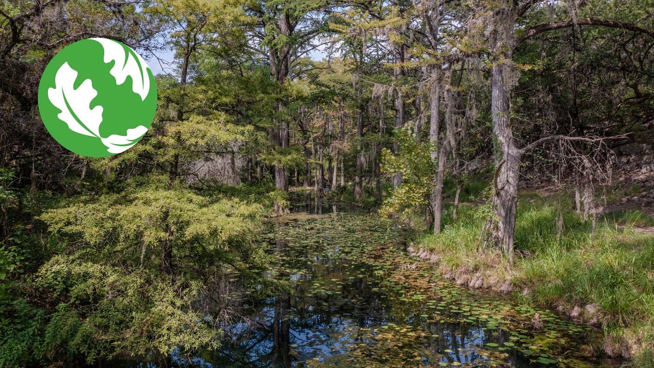 Hope for Honey Creek