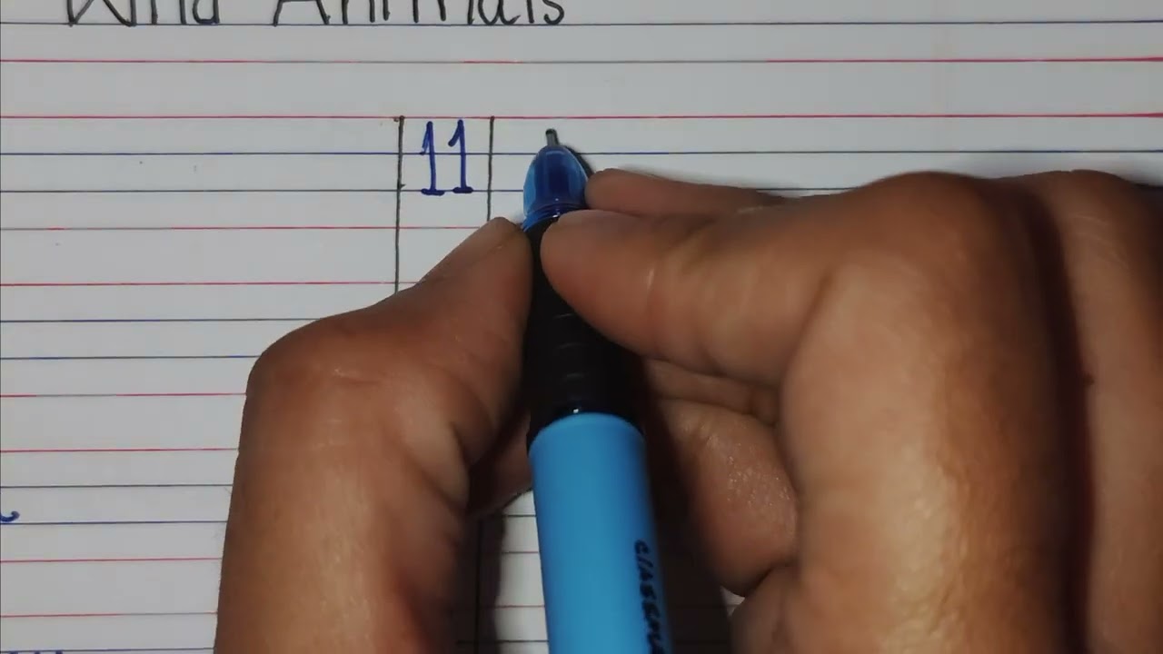 wild animals names /20 names of wood animals @StudyDesk-j3s 
