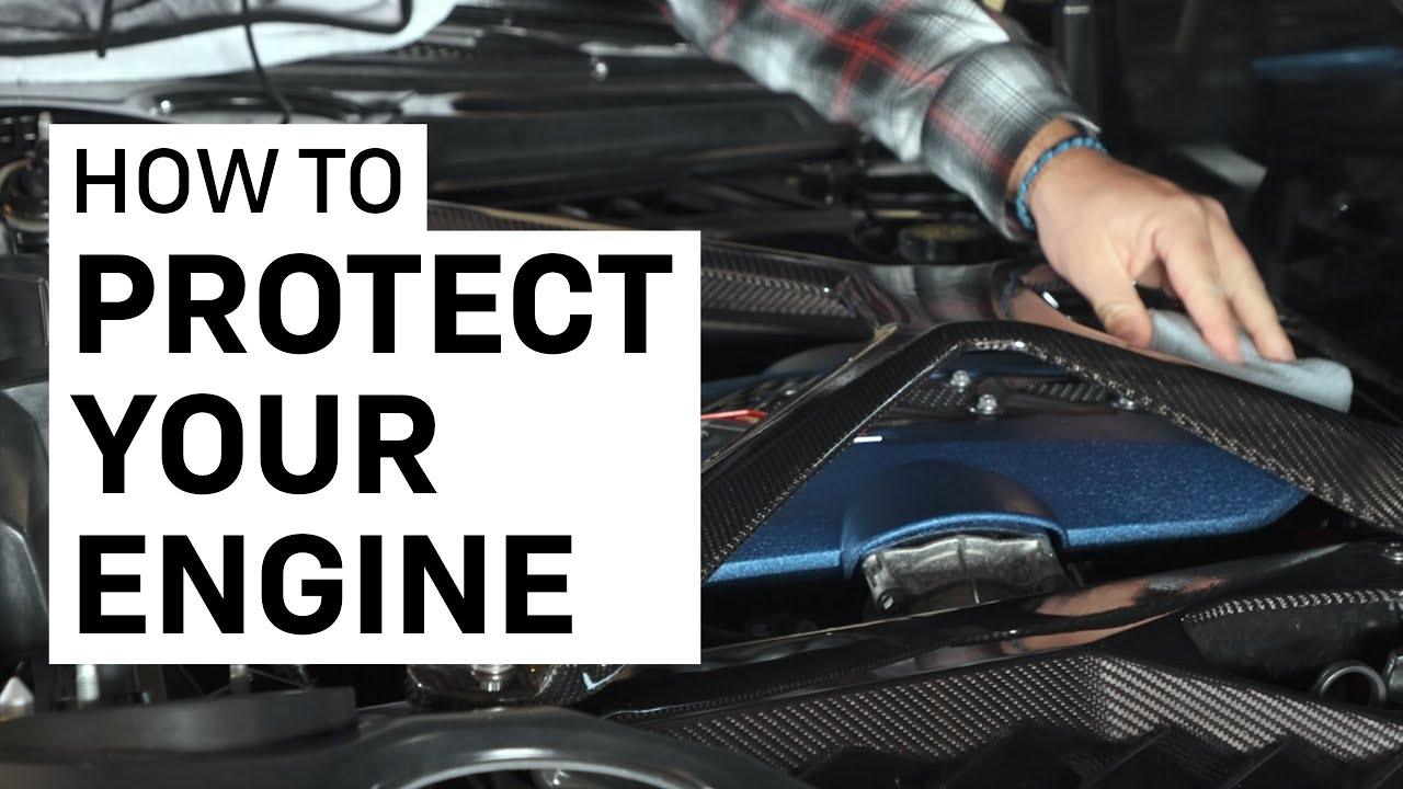 Step-By-Step Tutorial Cleaning and Protecting Your Engine Bay with Adam’s Polishes