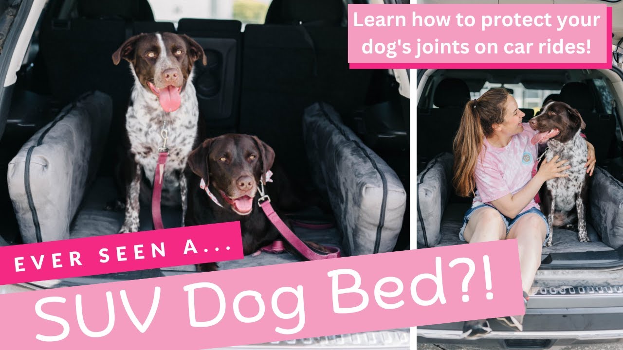 Big Barker SUV Dog Bed Review: Best Dog Travel Bed