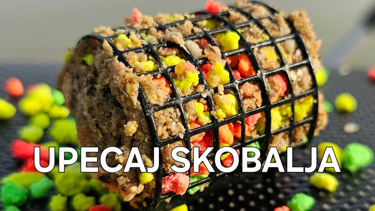 SKOBALJ SE AKTIVIRAO - FEEDER NA SAVI