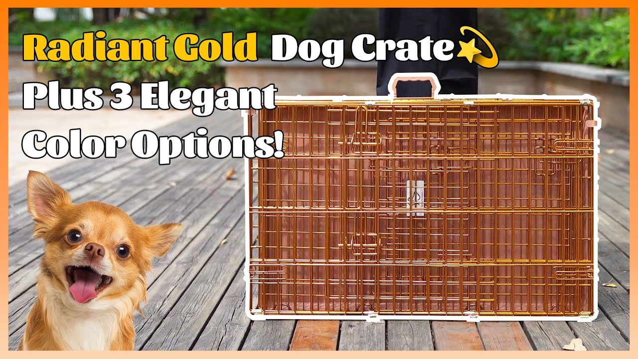 Unleash Style and Convenience: The Gold Dog Crate!
