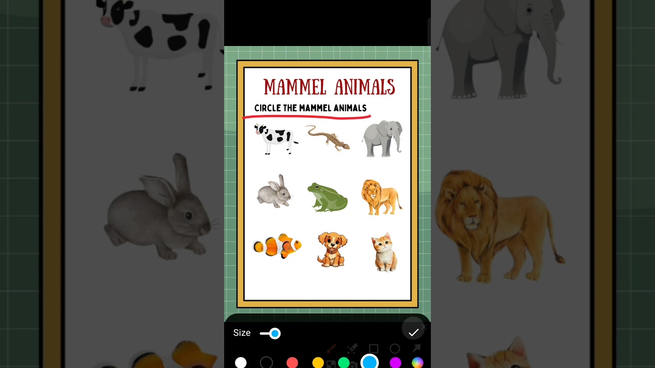 Mammel animals Circle the mammel animals #evs #worksheet #animals