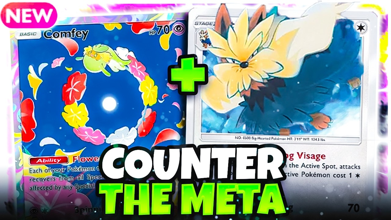Stoutland Is the Meta Counter No One Saw Coming!!