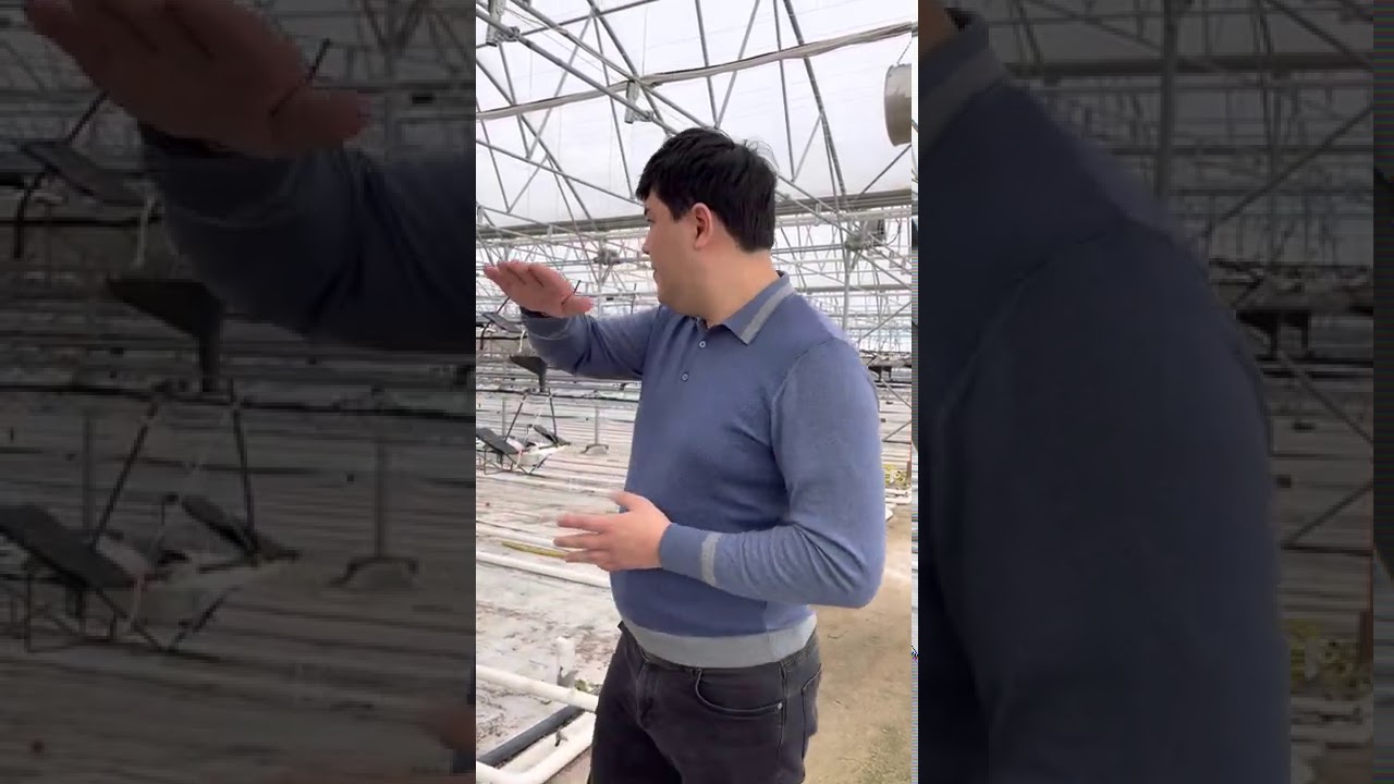 Выращивание клубники в системе NGS