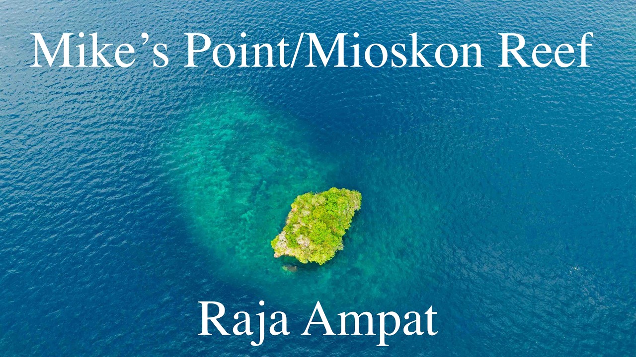 mike's point/mioskon reef Raja Ampat ポイント紹介　introduction of mike's point at Raja Ampat