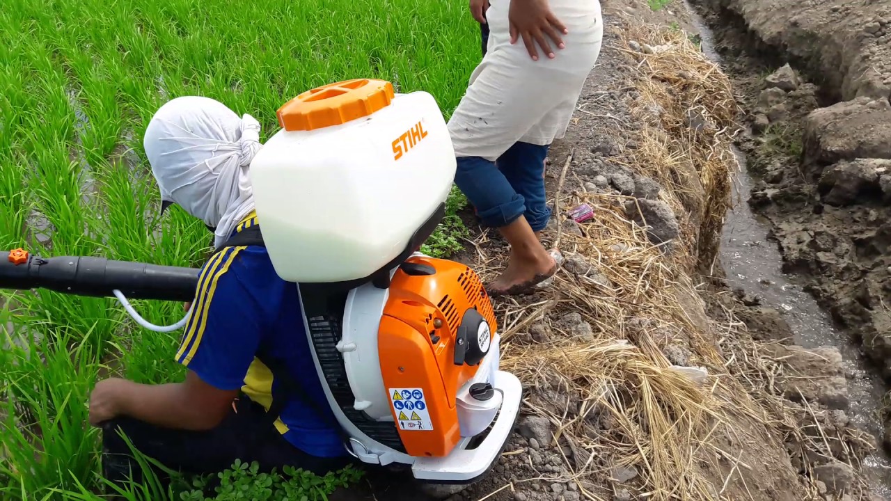 Stihl fumigacion en arroz