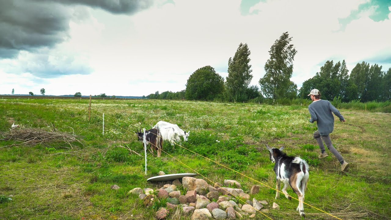 Extending Animal Pasture