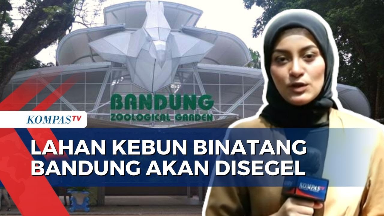 Lahan Kebun Binatang Bandung Bakal Disegel Pemkot, Ini Penyebabnya!