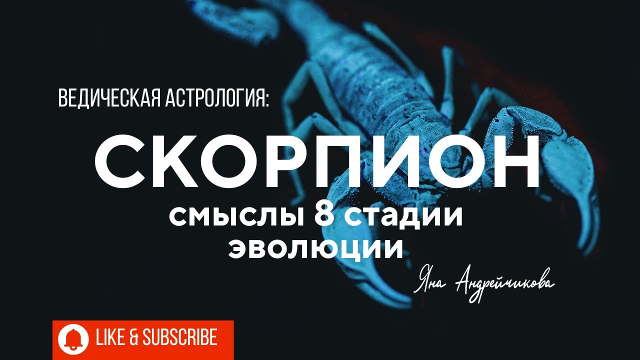 Скорпион – скрытые смыслы 8 стадии эволюции. Накшатры Вишакха, Анурадха, Джйешттха