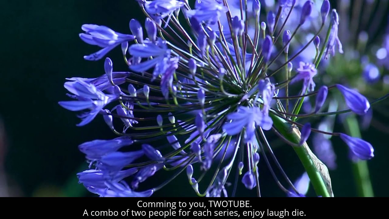 Trailer- TWOTUBE comming soon.