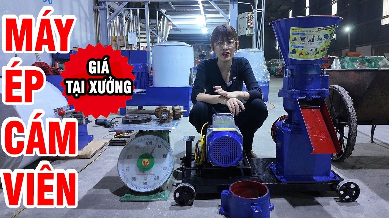 🔥 Tư Vấn & Cập Nhập Giá Bán Tại Xưởng Máy Ép Cám Viên S160 3 Quả Lô Tháng 3/2026?