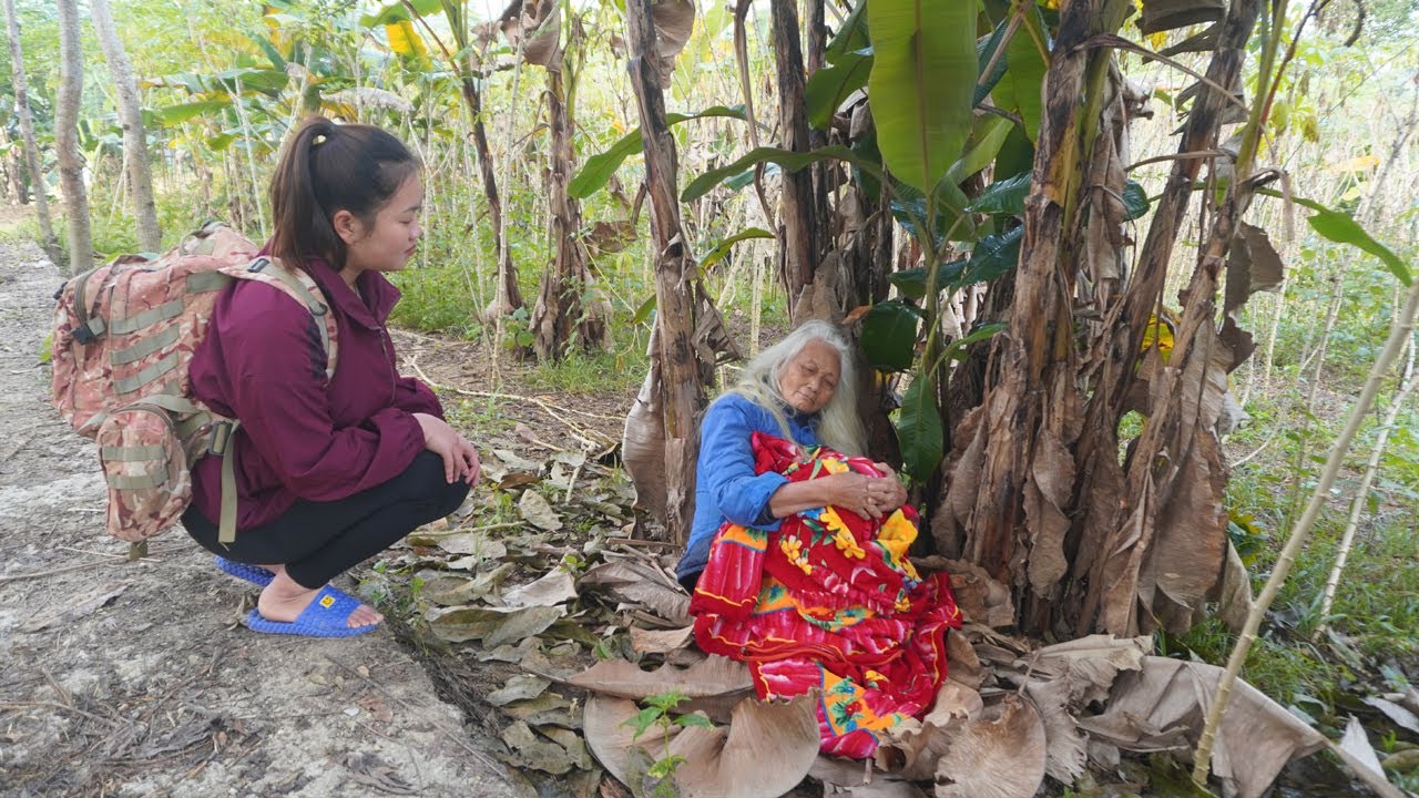 The girl rescued the old woman from danger and found an old house to renovate for her to live in.