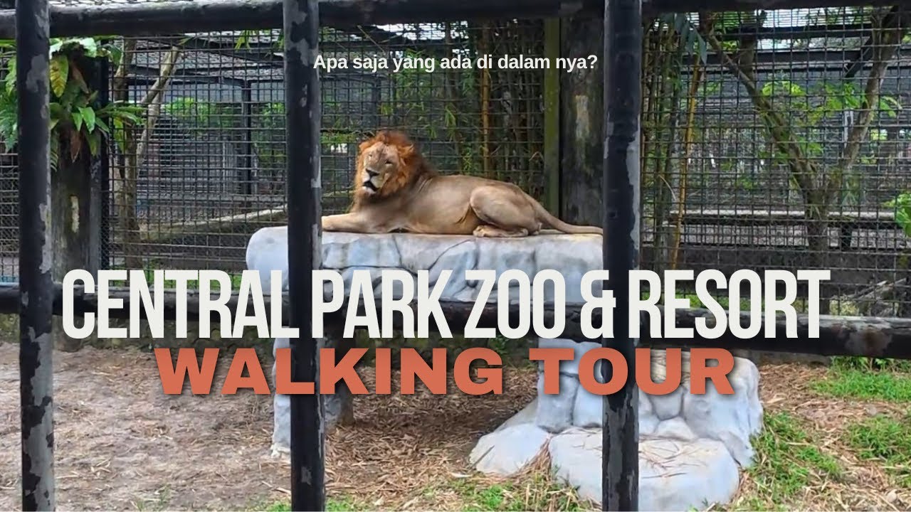 Central Park Zoo & Resort ada apa saja di dalamnya? | Walking Tour