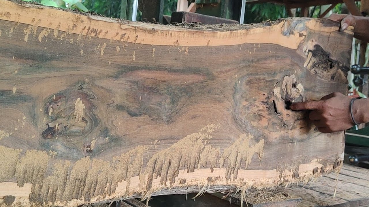Spectacular discovery of the beauty in teak wood transformed into expensive sheets 