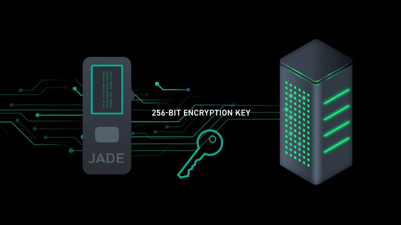 What Is a Secure Element in a Hardware Wallet?