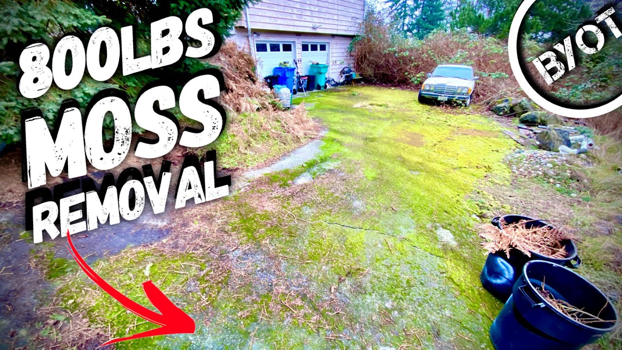 EXTREME Driveway Makeover