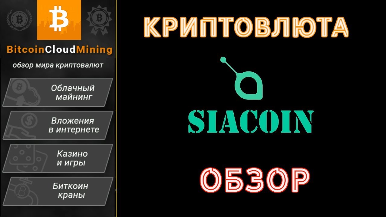 Обзор криптовалюты Siacoin