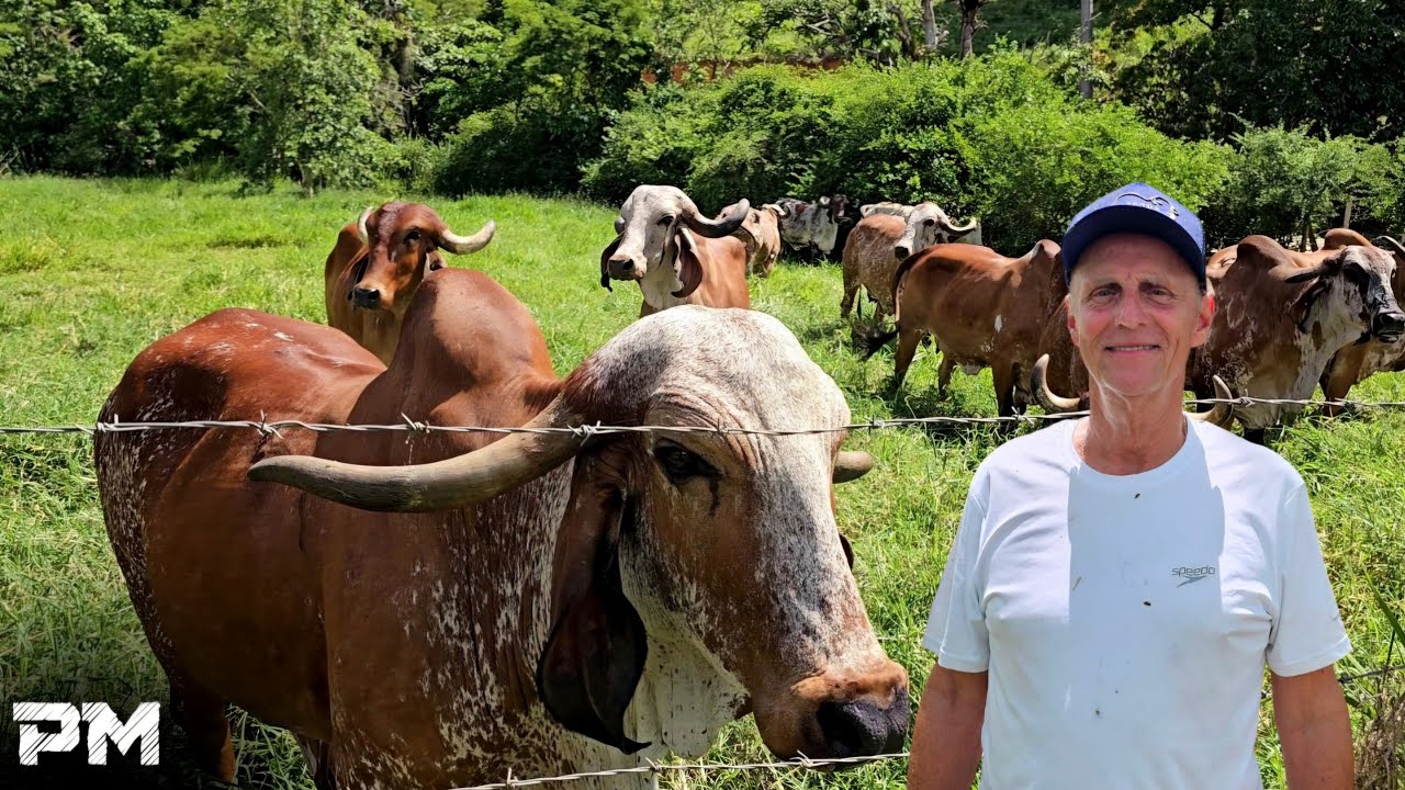 ALTA PRODUÇÃO DE LEITE EM UMA FAZENDA DE 200 ANOS