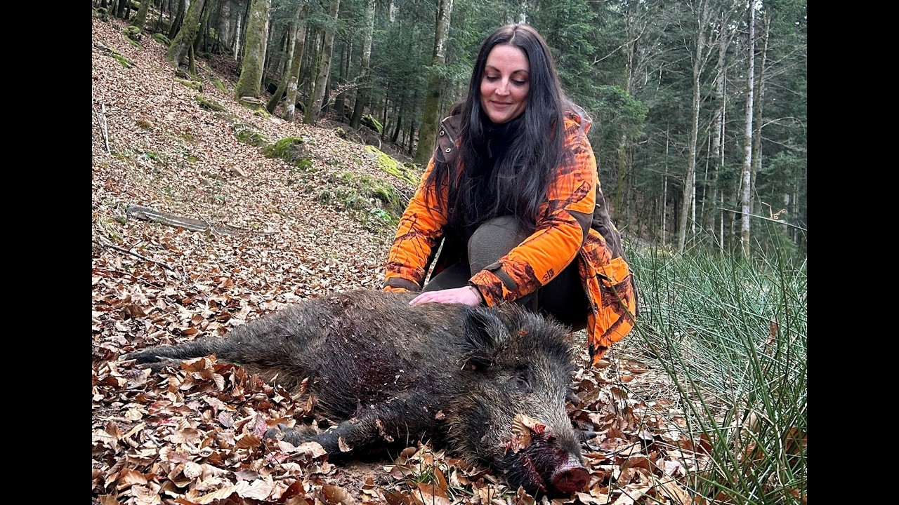 CHASSE - BATTUES GRAND GIBIER JANVIER 2026
