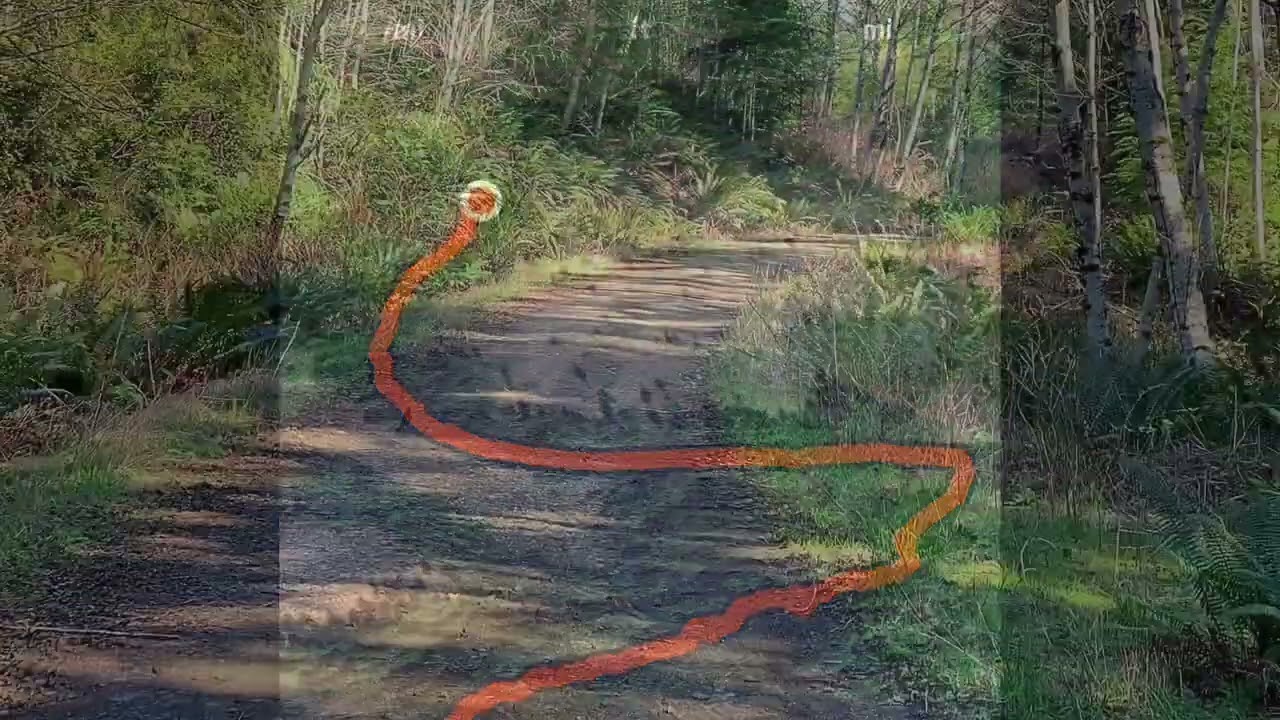 A 10-Mile Loop Around Green Mountain (Tin Mine, Wildcat & Gold Creek Trails)