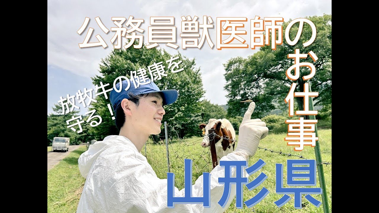 公務員獣医師のお仕事　 山形県中央家畜保健衛生所