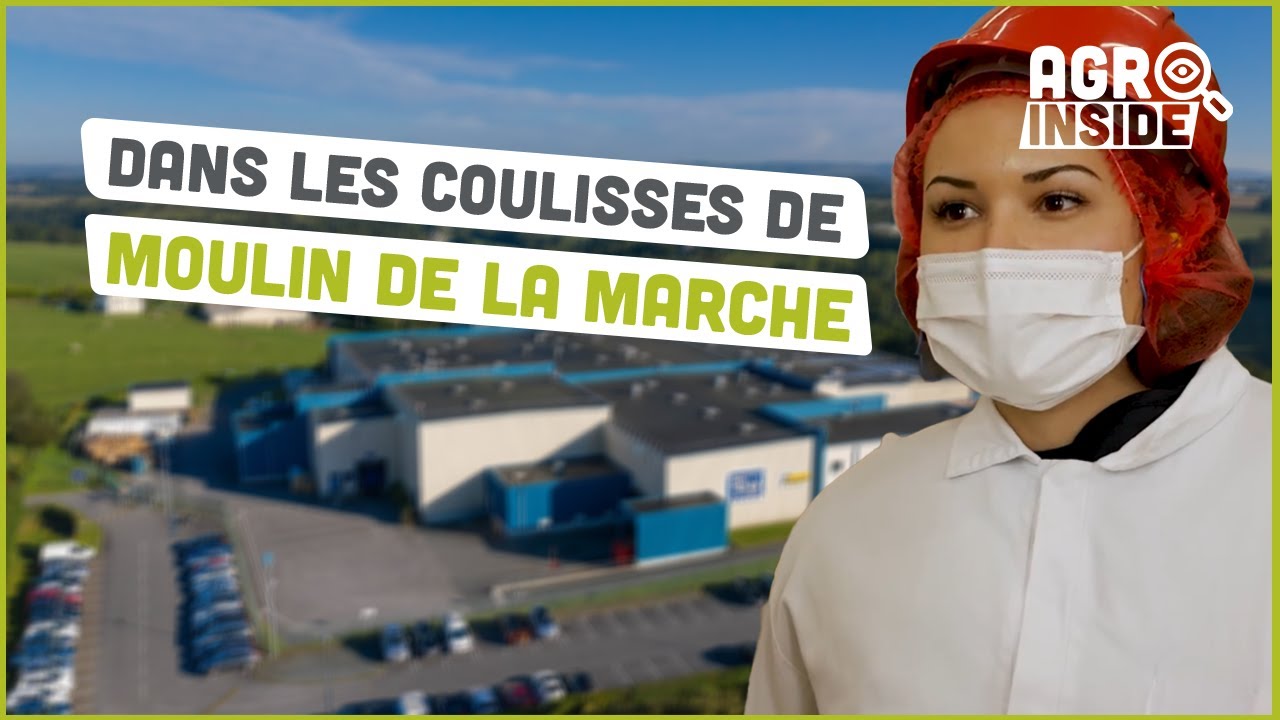 Moulin de la marche | Les coulisses d'une usine agroalimentaire | Agromousquetaires