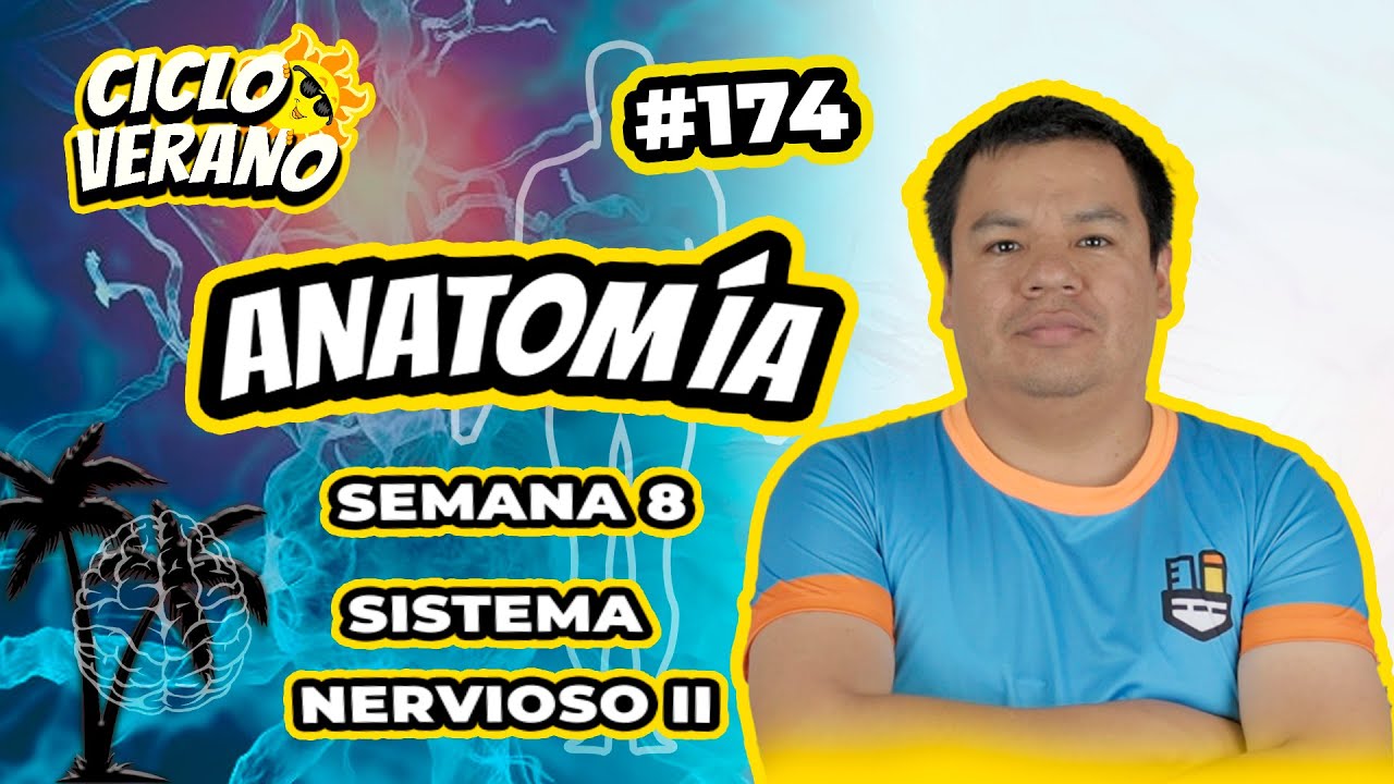 174 - VERANO - SEMANA 8 - ANATOMÍA SISTEMA NERVIOSO II - 29/02/2024