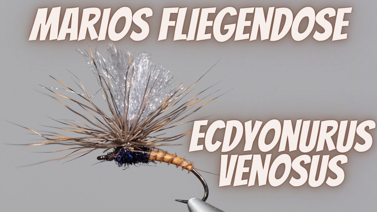 Marios Fliegendose - Ecdyonurus Parachutefliege